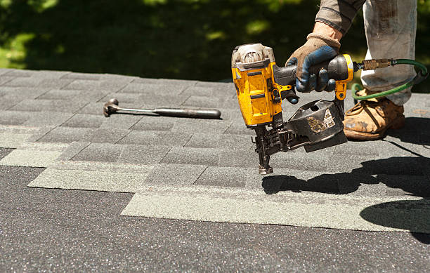 Roof Gutter Cleaning in Thomasville, AL